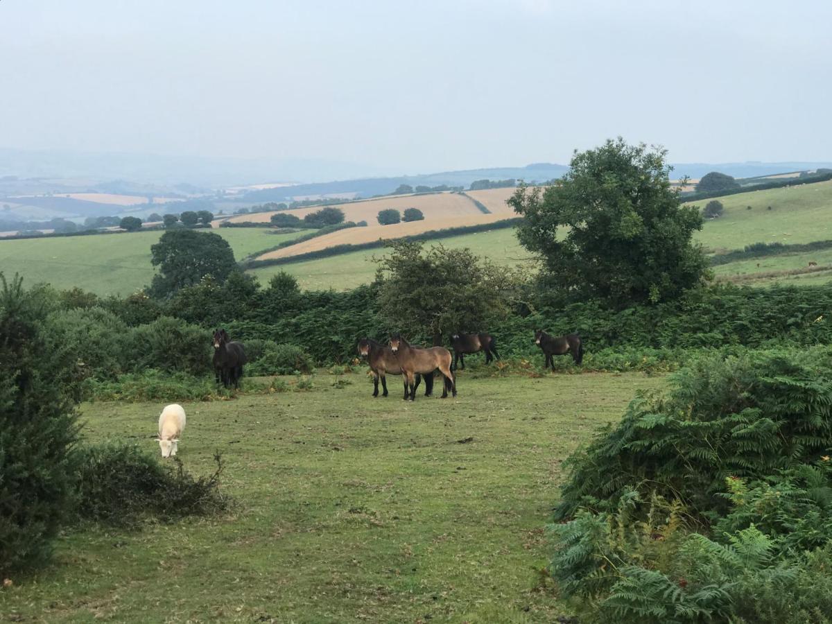 Slowley Farm Cottage Luxborough Εξωτερικό φωτογραφία